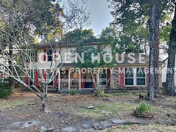 46 Berryfrost Ln, Spring, TX 77380