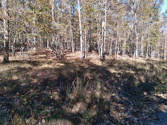 4th image of 24 Honeysuckle Cir