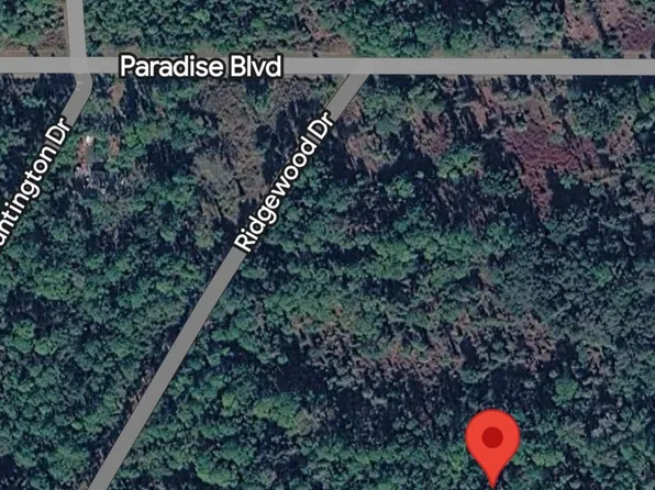 215 Laisy Dr, Georgetown, FL 32139