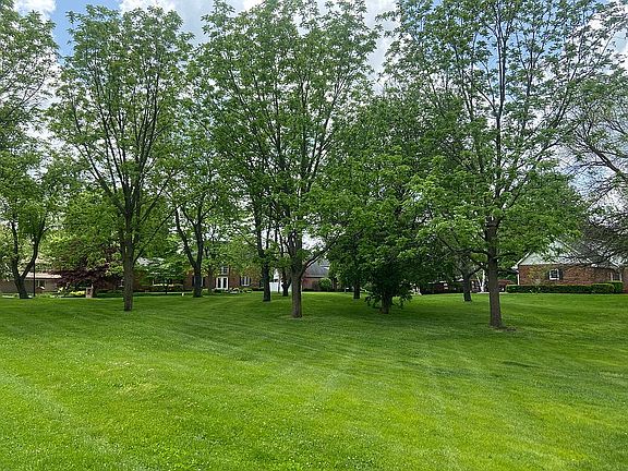 Park like yard lots of trees
