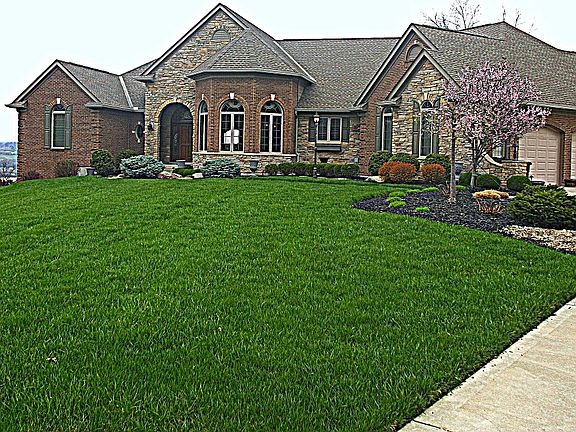 NKY Agent Amy 859-525-5753