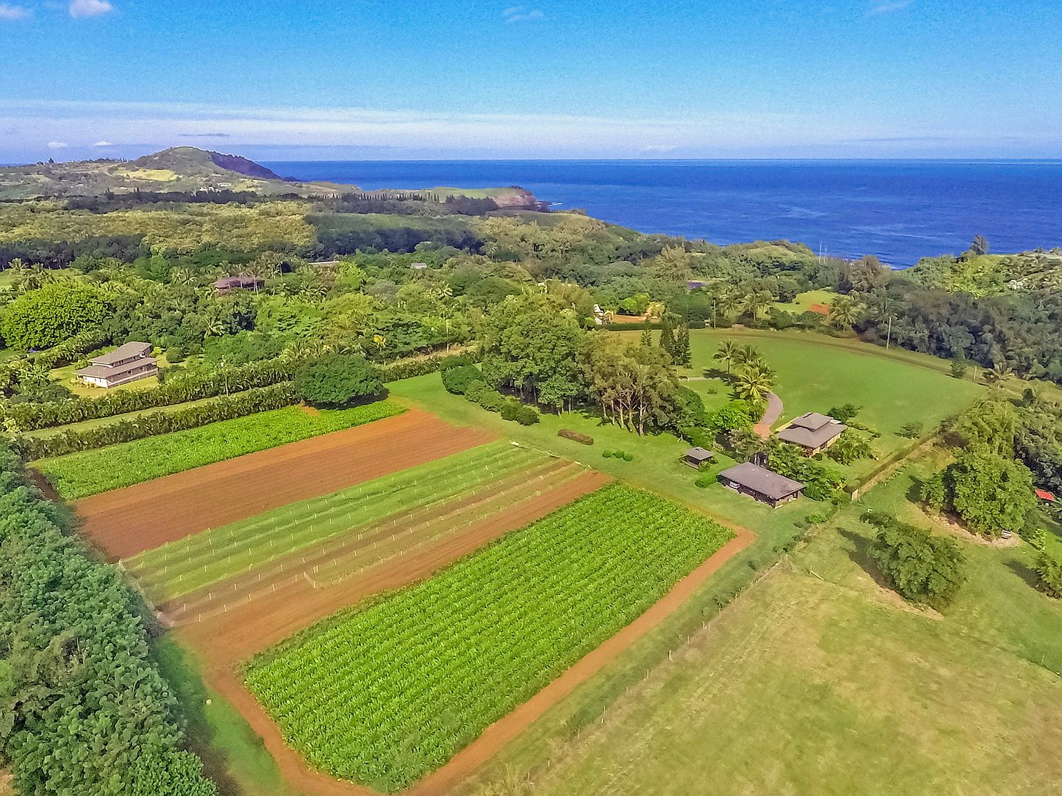 4235 N Waiakalua St, Kilauea, HI 96754 Zillow