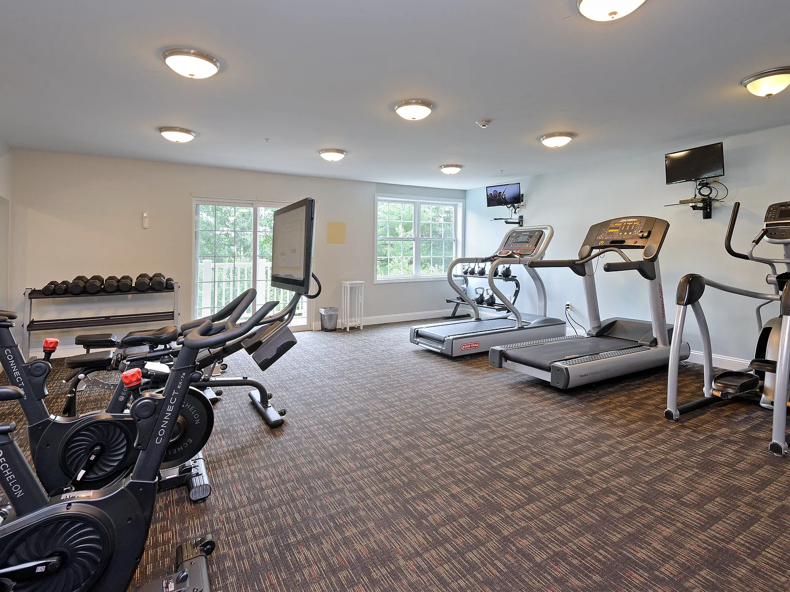 Nexxus Apartments — Photo 4