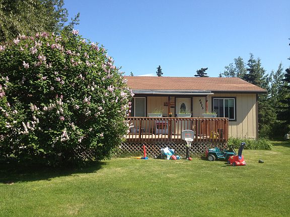 HUGE Lilac Bush out front