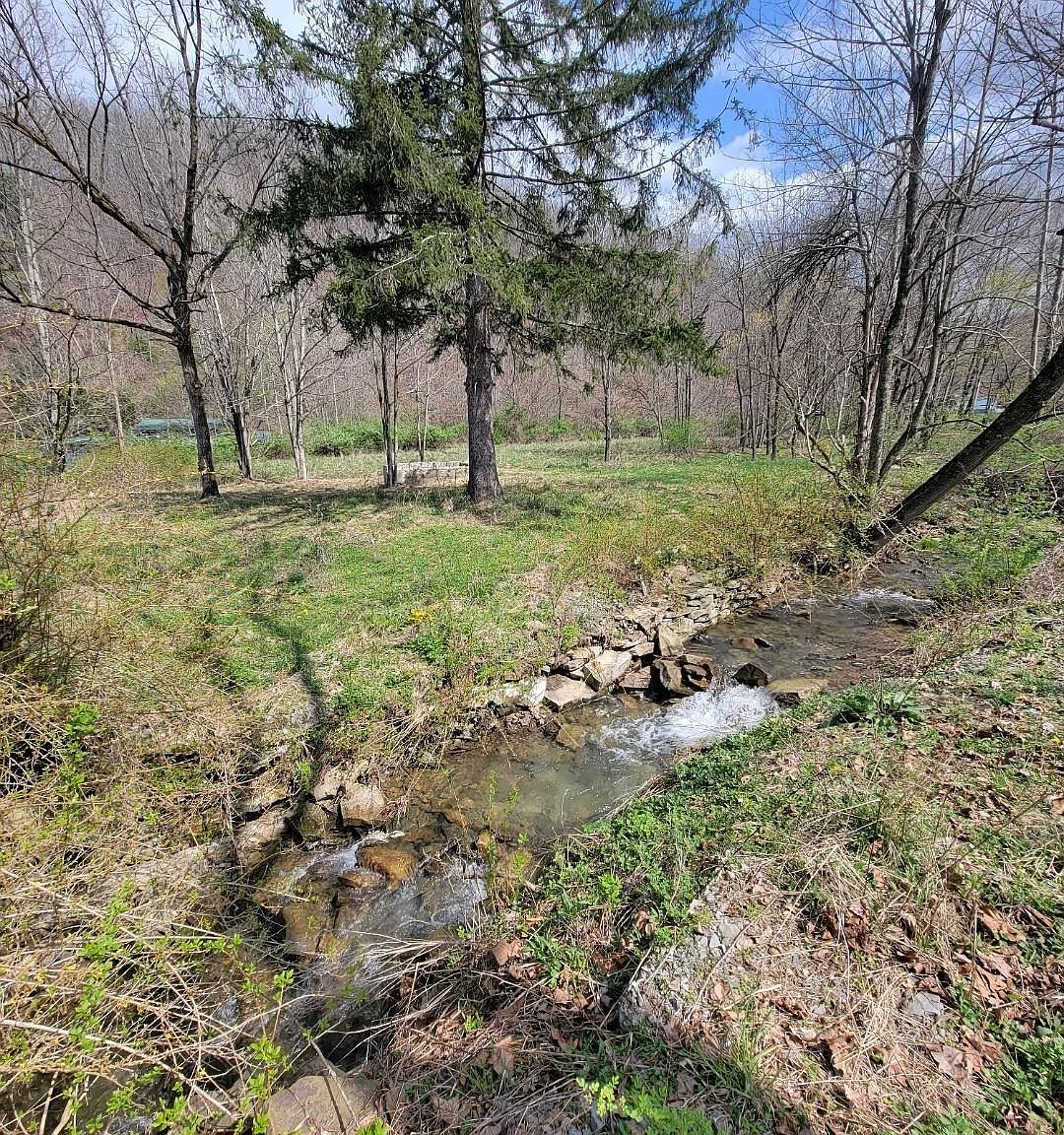 75 Upper Isner Creek Rd, Elkins, WV 26241 MLS 10153850 Zillow