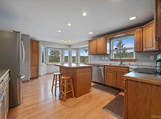 376 Old Dory Hill Rd, Black Hawk, CO 80422