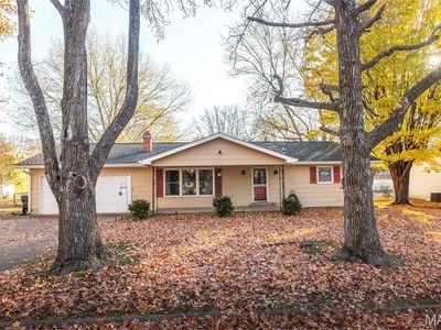 616 N Louise Ave, Saint James, MO, 65559