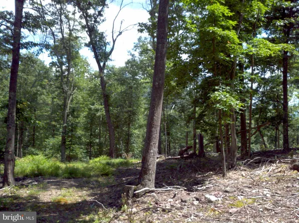 0 Harrison Holw, Franklin, WV 26807