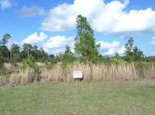 Oak Moss Loop, Middleburg, FL 32068
