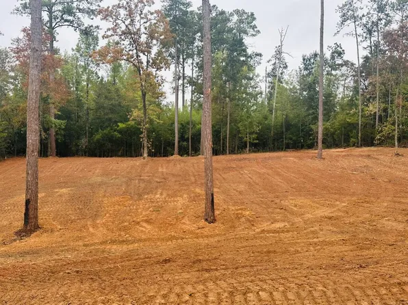 2 Woodland Dr, Abbeville, AL 36310
