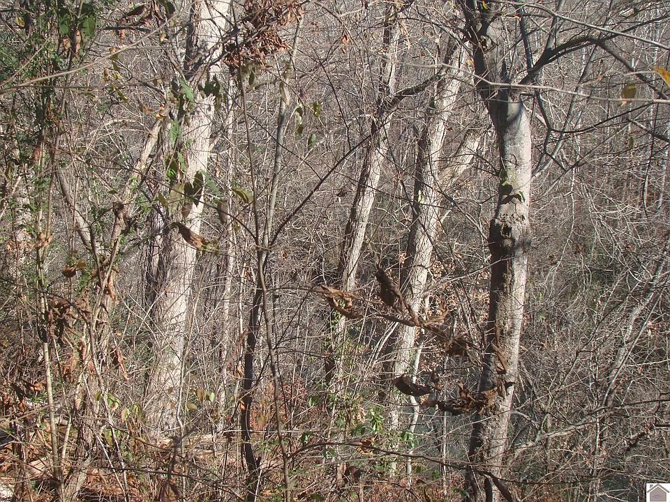 2nd image of 125 Jackson Ter
