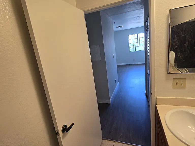 Venice Apartments — Photo 6