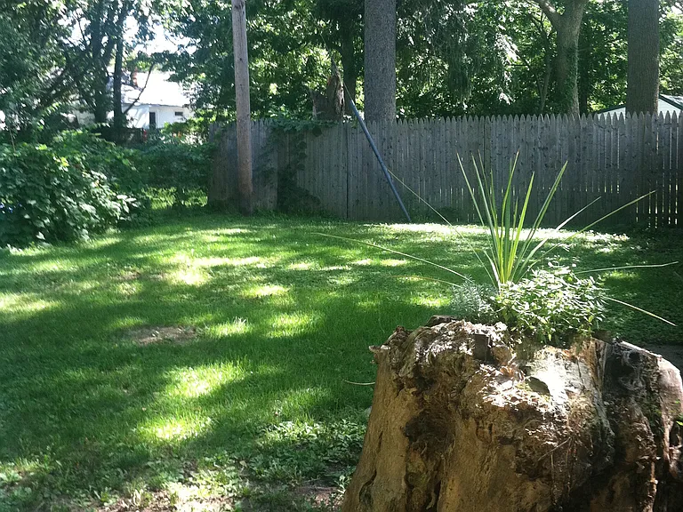 Back Yard, Fully Fenced