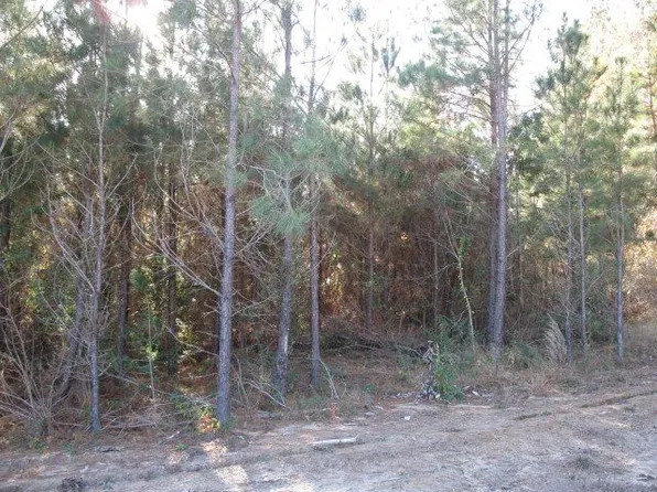 3 Parkview Ests, Ellisville, MS 39437