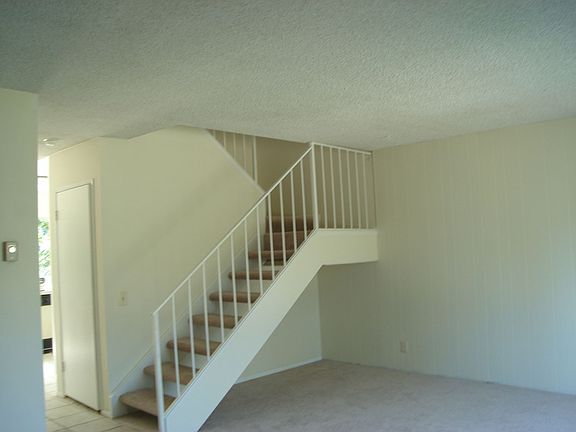 New Carpet and fresh paint