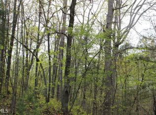 0 Hog Snout Rd, Cleveland, GA 30528