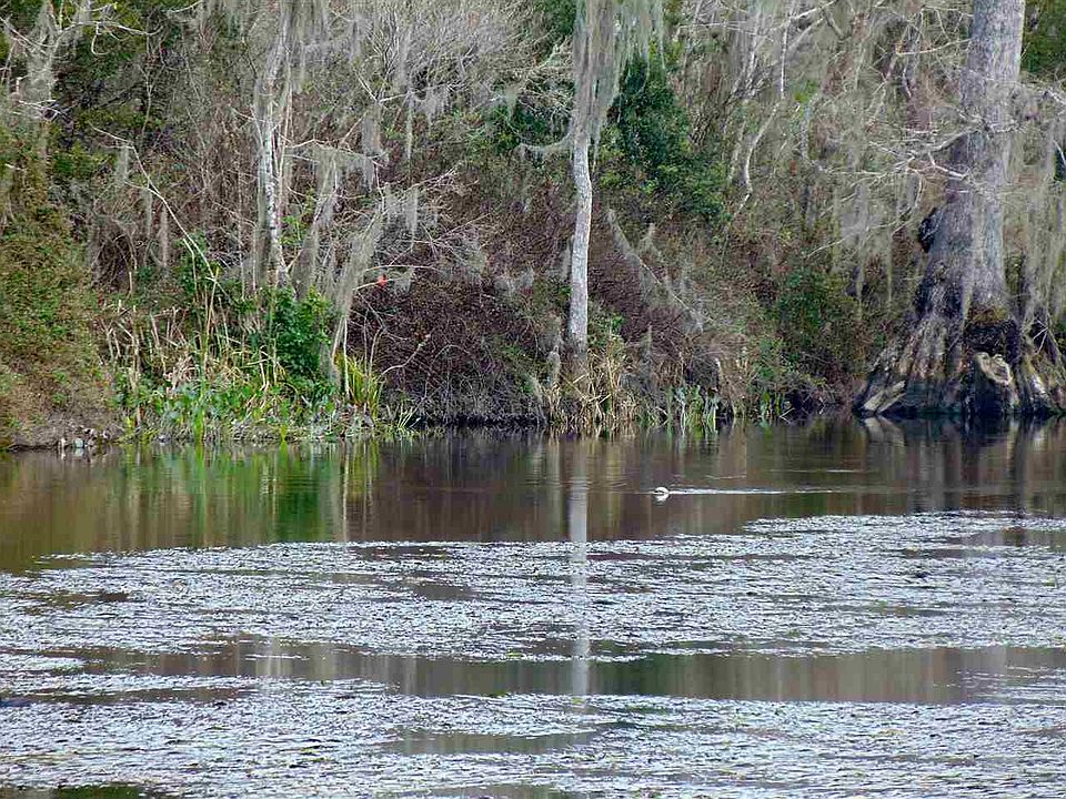 1st image of Tiger Hammock Rd