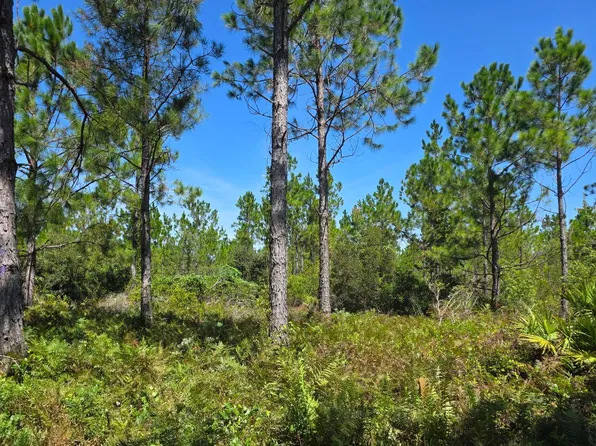 0 SW Bell & Gum Rd, Lee, FL 32059