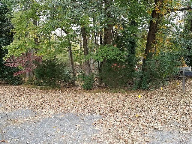 2nd image of 50 Plandome Ct