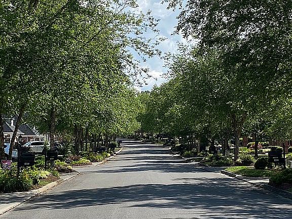 Quiet tree lined street