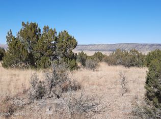 58573 N Calle Vaca, Seligman, AZ 86337