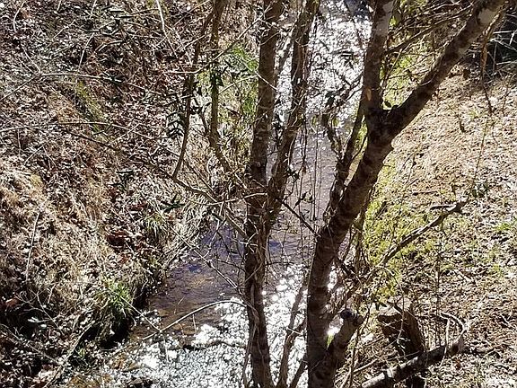 2nd image of 4258 Daniels Creek Rd
