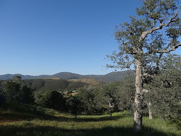 1st image of Arbolada Dr