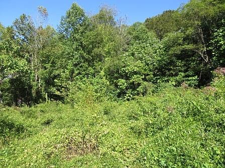 2nd image of Dan Thompson Rd