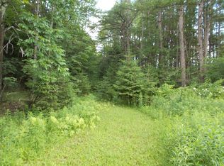 Fisk Hill Rd, Unadilla, NY 13849