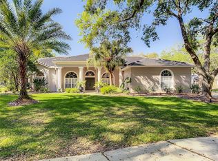 17808 Ridgeway Ct, Tampa, FL 33647