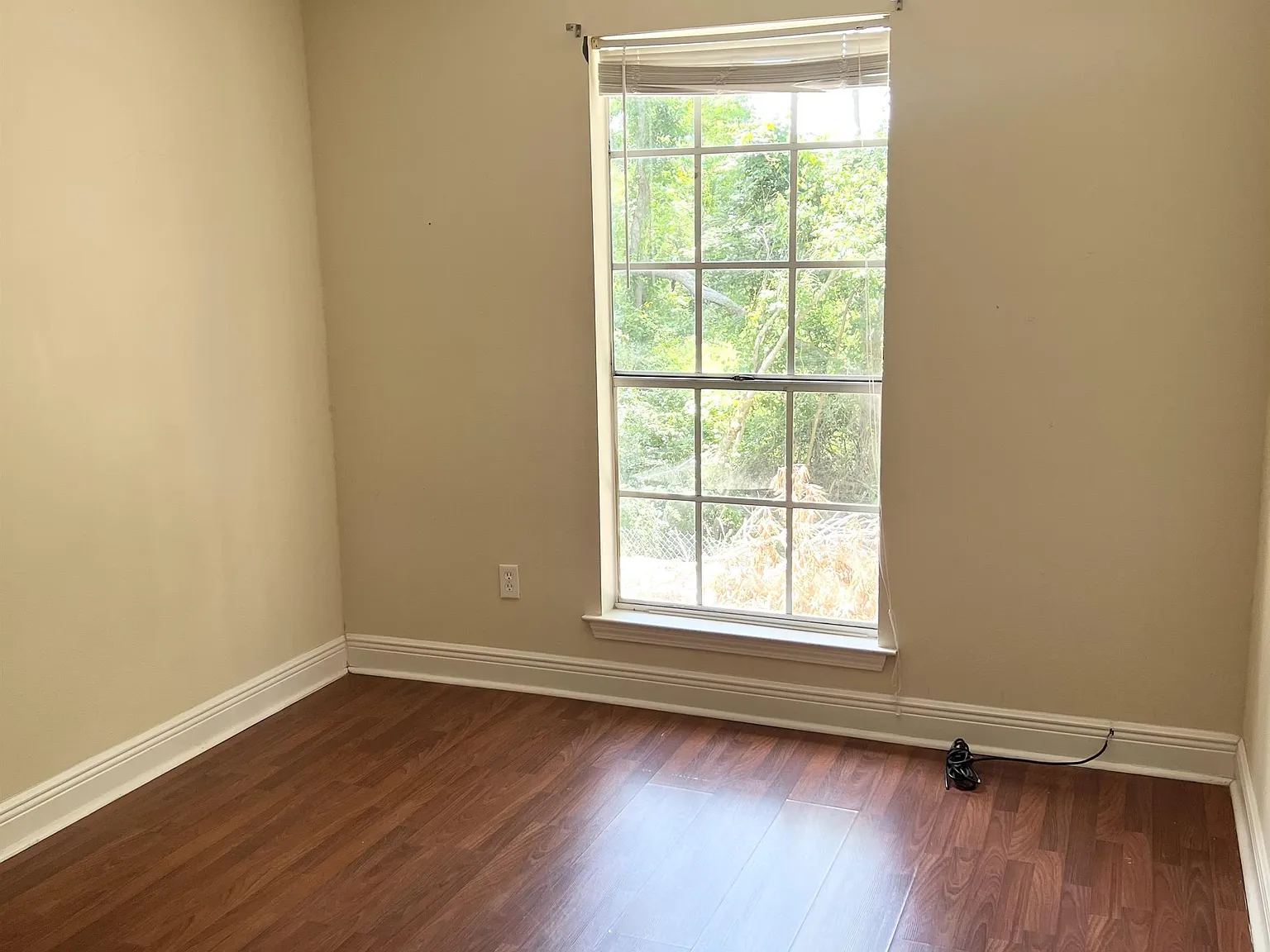 98 Trace Loop - 1 — Photo 2