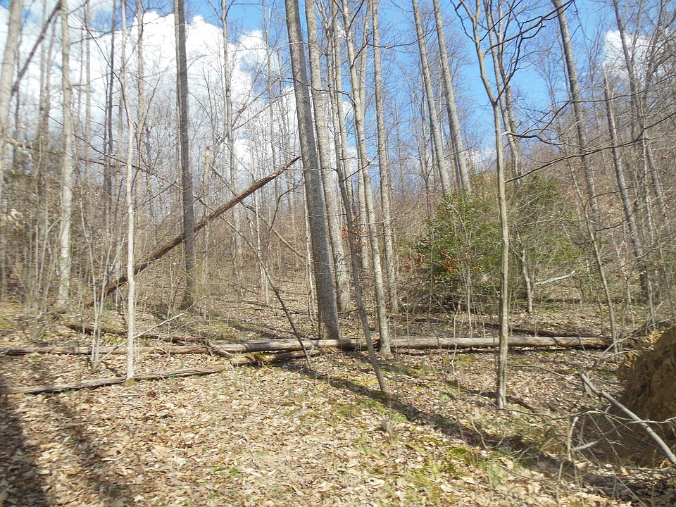2nd image of R61 White Oak Fork Road