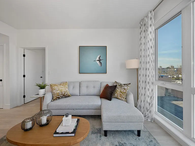 Begonia Place Luxury Apartments — Photo 41
