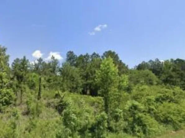 LOT 8 Tinker Creek Rd, Williston, SC 29853