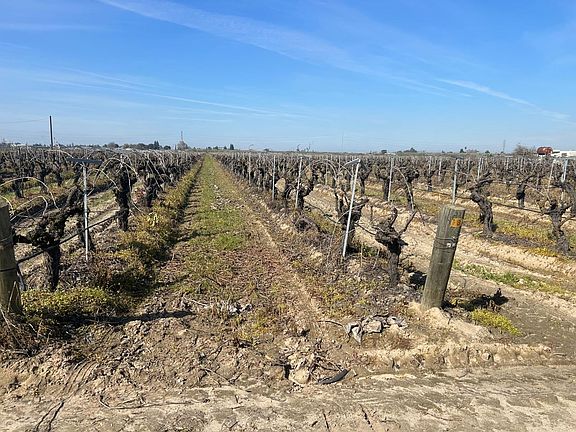 4th image of 9577 S Del Rey Ave