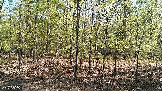 9720 Hickory Ln photo 1