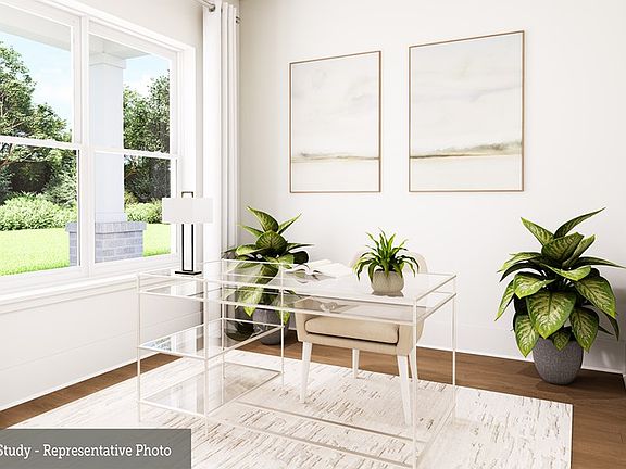 The Mansfield - Study