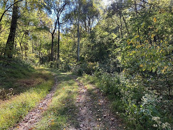 17th image of this home