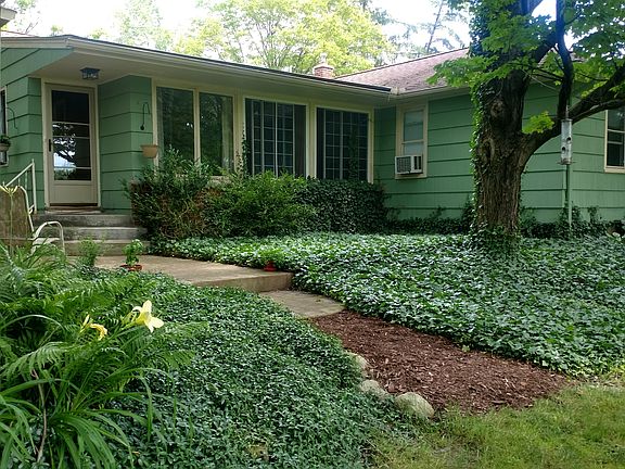 Rear view from backyard