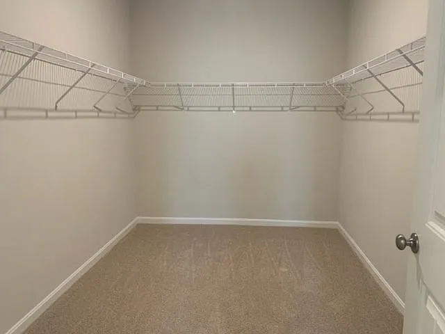 15118 Willow Wood Ct — Photo 17