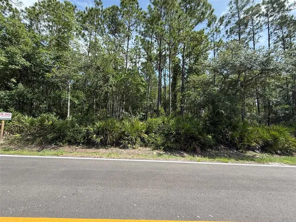 180 Millican Rd Lot 54, Palatka, FL 32177