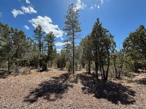 1581 S Braden Ct, Show Low, AZ 85901