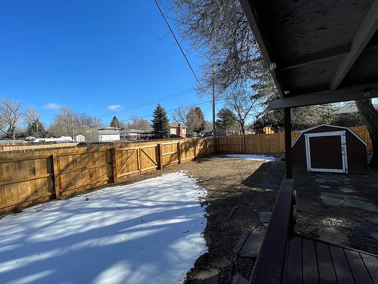 backyard.