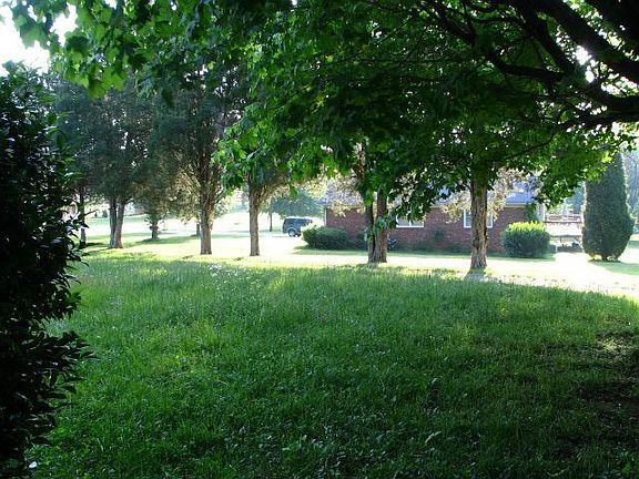 Lots looking east (by new street)