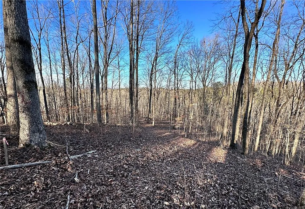 8555 Woodland Brooke Trl #X photo 1