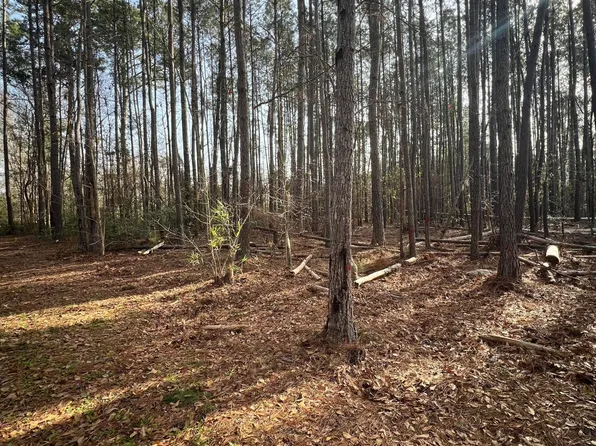 0 Ashe Brown Rd, Adams Run, SC 29426