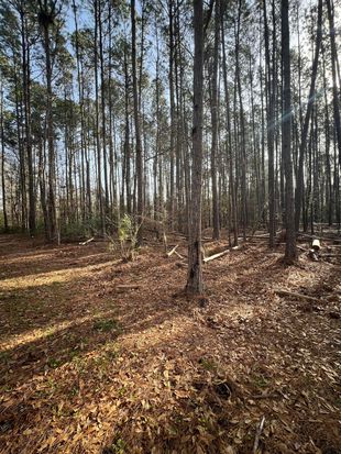 0 Ashe Brown Rd, Adams Run, SC 29426