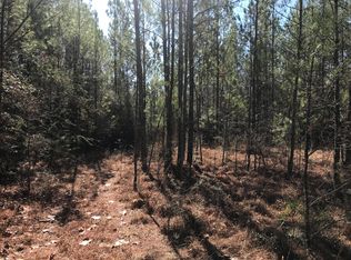 10 W T Kittrell Dr, Beaumont, MS 39423