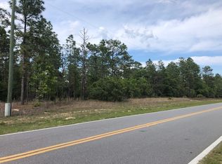 2199 W Hampshire Blvd, Citrus Springs, FL 34434