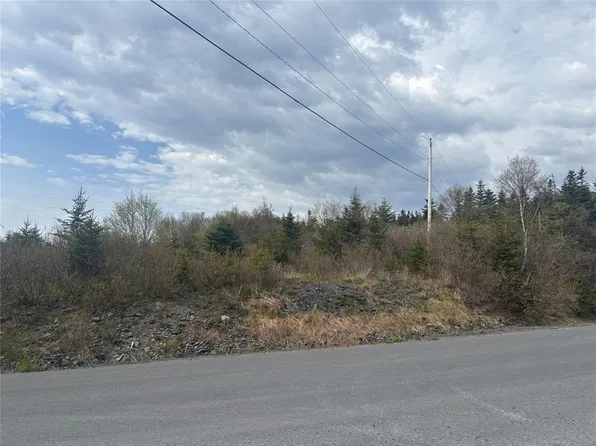 85-107 Hard Path Road, Harbour Grace, NL A0A2M0